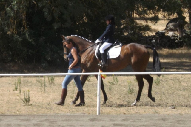  Équitation 